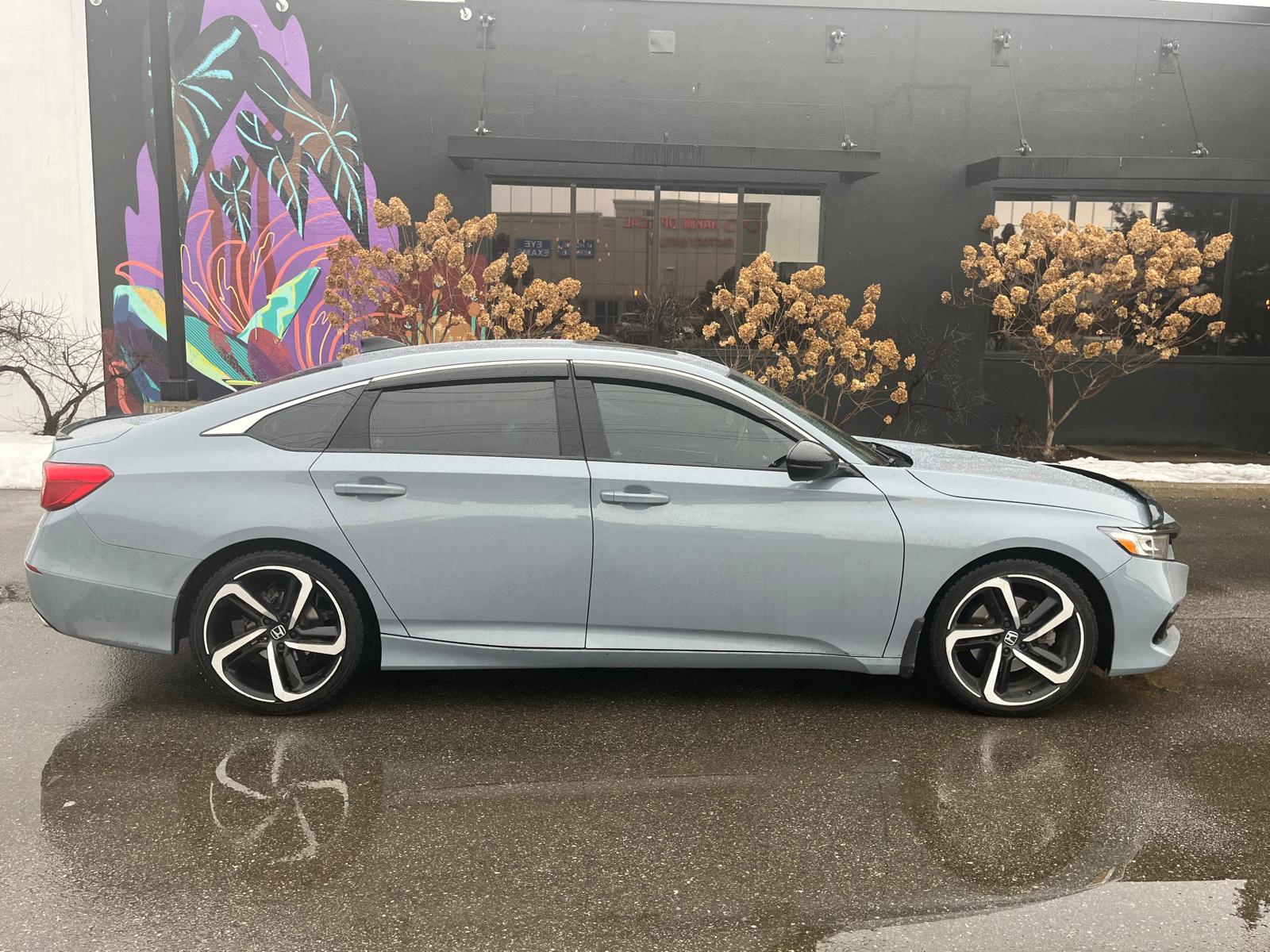 WhatsApp Image 2025-03-11 at 23.18.18 (2)